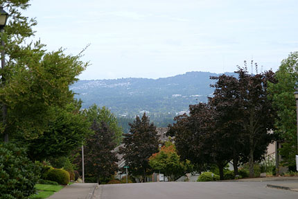 View down 176th Ave in Kemmer View Estates